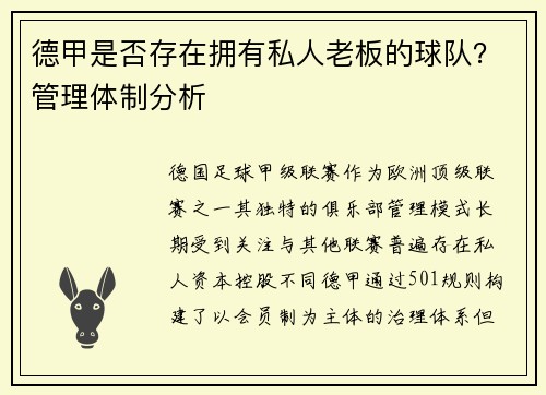德甲是否存在拥有私人老板的球队？管理体制分析