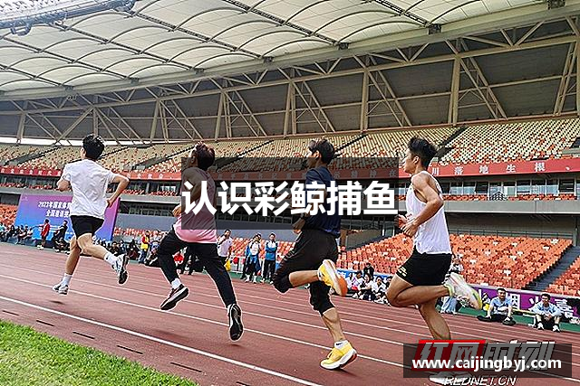 认识彩鲸捕鱼